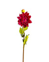 DAHLIAFL09047