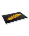 HANDCARVED WALL PANELS: FEATHER WP19188