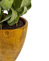 20"SAGE IN POT FL18029