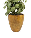 20"SAGE IN POT FL18029