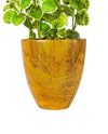 20"PATCHOULI IN POT FL18030