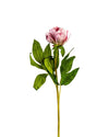 PEONY STEM FL12007 (FLOWER)