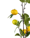 LEMON BRANCH FL12028 (FLOWER)