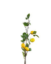 LEMON BRANCH FL12028 (FLOWER)