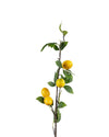 LEMON BRANCH FL12028 (FLOWER)