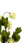 HOPS S. 26.5" FL12063 (FLOWER)