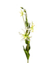 GLORIA LILY L. 40.5" FL12070 (FLOWER)