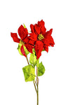 POINSETTIA FL10030 (FLOWER)