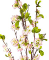 CHERRY BLOSSOM FL09010 (FLOWER)