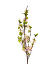 CHERRY BLOSSOM FL09010 (FLOWER)