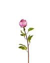 CLOSED PEONY FL09018 (FLOWER)