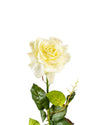 ROSE DUTCHESS BUD FL09037 (FLOWER)