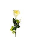 ROSE DUTCHESS BUD FL09037 (FLOWER)