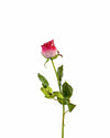 ROSE DUTCHESS BUD FL09038 (FLOWER)