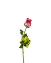 ROSE DUTCHESS BUD FL09038 (FLOWER)