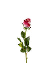 ROSE DUTCHESS BUD FL09038 (FLOWER)