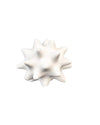 HX-ACCESSORIES-A-WHITE 610062