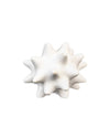 HX-ACCESSORIES-A-WHITE 610062