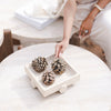 Soho Coffee table